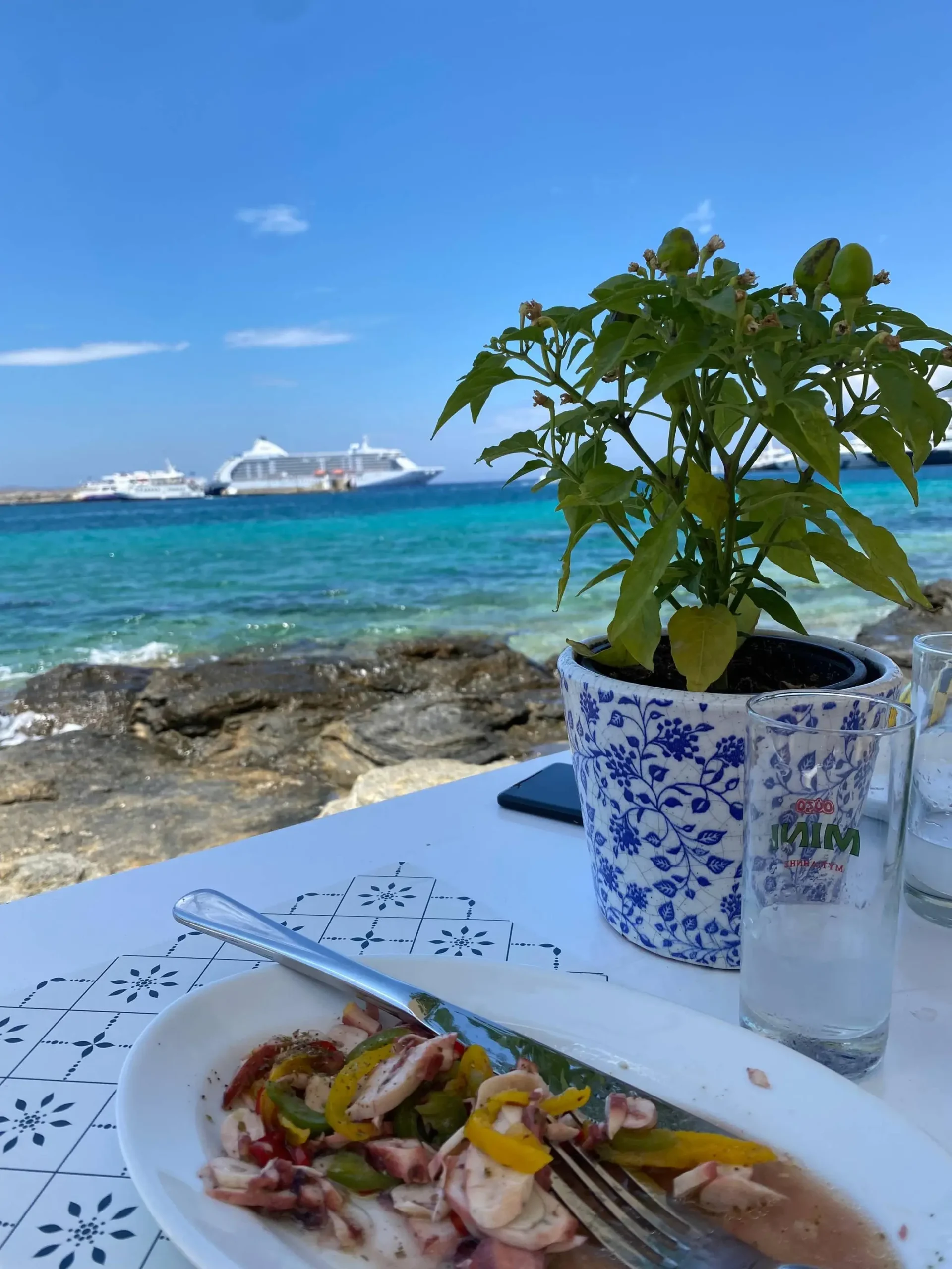 Indulge in Greek Cuisine