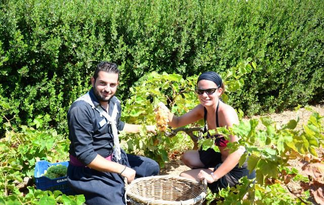 Crete Sustainability Strengths